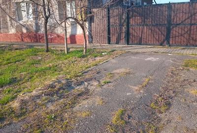 Casă cu Teren 1400 Mp în Zerind - 1