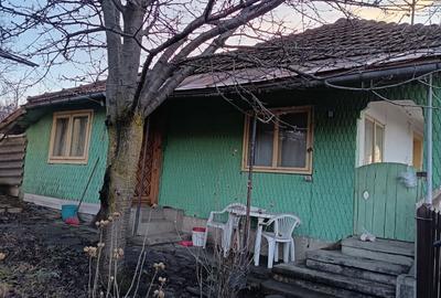 Casă cu 4 camere în Nucșoara de Jos - 1