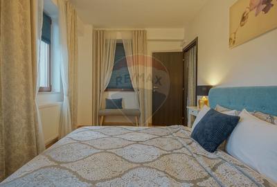 Apartament cu 2 camere semidecomandat, mobilat în Drumul Poienii - 18