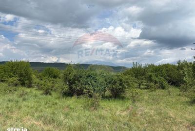 Teren de 13783 mp, în Florești - 9