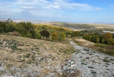 Spațiu comercial, în Gheorghieni - 8