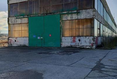 Hala Comerciala de Inchiriat Buzau - 2