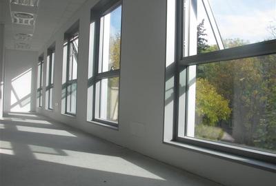 Birouri in cladirea Domus II Office Building - 7