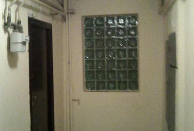 Micsunica, garsonieras mobilata, parter, 250 euro - 10