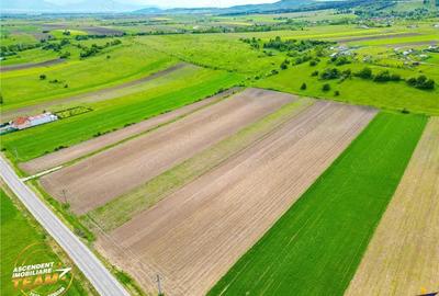 FILM! Teren intravilan industial, cu PUZ si acces la DJ112, Sfantu Gheorghe - 5