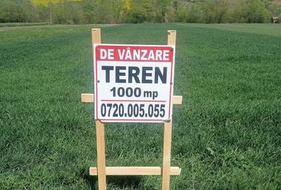Teren de 1000 mp, în Dăbâca - 1