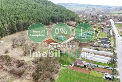 Teren Construcții intravilan de 10130 mp, în Vlaha - 7