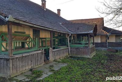 Casă cu 8 camere cu Teren 3008 Mp în Rișculița - 4