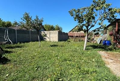 Casa 2 camere, 43 mp, curte 300 mp, pozitie centrala, in Moravita - COMISION 0% - 3