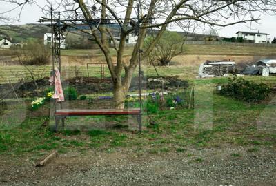 Teren în Borhanci - 5