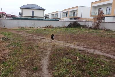 Teren intravilan Sabri Park Berceni Teren intravilan Sabri Park Berceni - 6