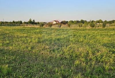 Teren Construcții intravilan de 1495 mp, în Dobreni - 30