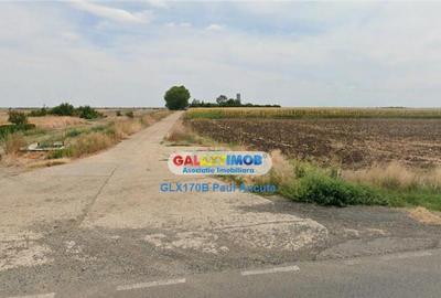 Teren Cuza Voda Calarasi 7 Ha extravilan vecin Canal Irigat - 3