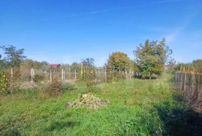 Casă cu 3 camere cu Teren 1400 Mp în Mihai Viteazu - 4