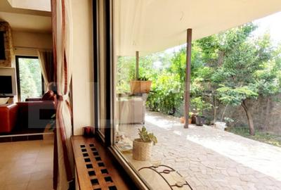 Casa deosebita, 5 camere, 800 mp teren, zona Bogdanestilor - 29