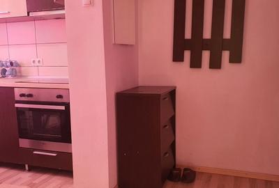 Apartament 2 camere in Deva, ultracentral - 4