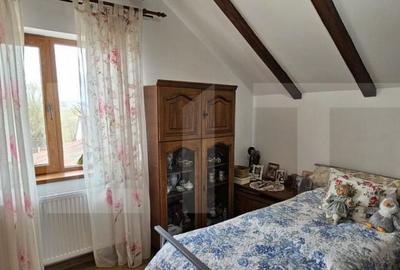 Casa deosebita, 128 mp, 569 mp teren, in Santionlunca - 10