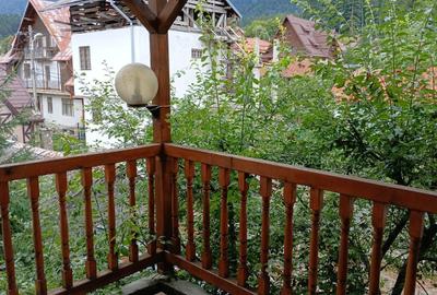 Apartament in inima orasului busteni spatios - 6