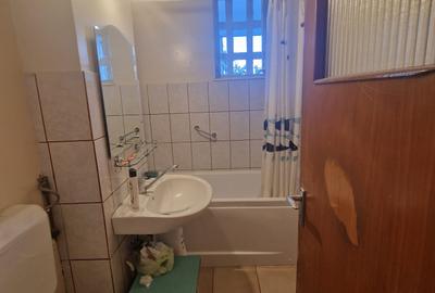 Baba Novac, Parc Ior, Mall Park Lake - 3