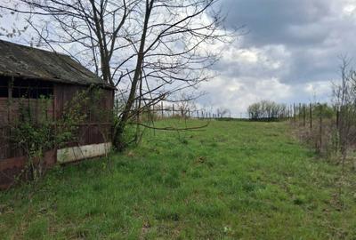 Spațiu comercial, în Central