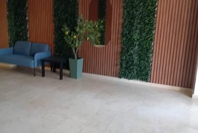 Apartament 3 camere in ansamblu nou, Baneasa-Apicultorilor - 5