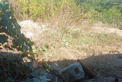 Casa de vanzare - 10