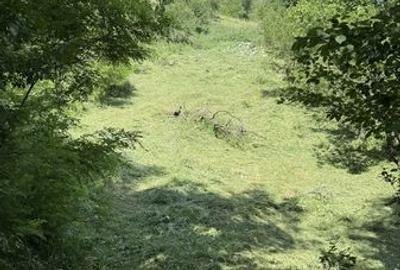 Teren de 9000 mp, în Salva - 2