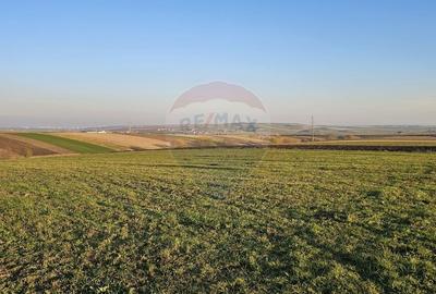 Teren agricol extravilan de 10200 mp, în Stroiești - 5