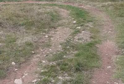 Teren de vanzare ideal pentru cabana in Maguri Racatau - 3