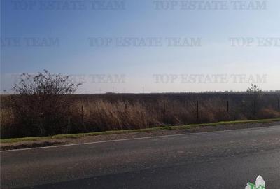 Teren extravilan - Braila - E584 - - 1