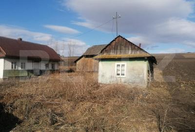 Teren de 10000 mp, în Central