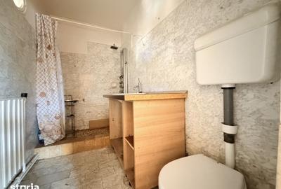 Casă cu 3 camere cu Teren 252 Mp în Șega - 12