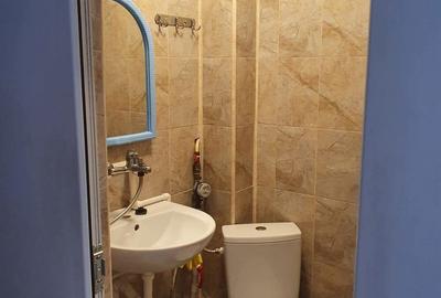 Inchiriez garsoniera zona vest cu baie - 1