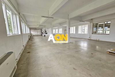 Spatiu industrial pentru productie sau depozitare, 1600 mp, Sebes - 3