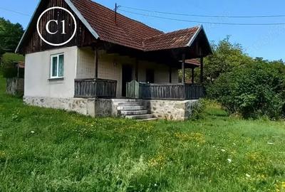 Vand Proprietate (casa, ?ura ?i teren) in Valea Bradului, Mun. Brad, Jud. Hunedoara - 2