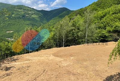 Teren 2200 mp, intravilan, zona Somesul Rece - 5