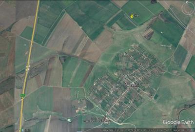 Teren agricol extravilan de 4 mp, în Orțișoara - 5
