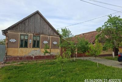 Teren Construcții intravilan de 1369 mp, în Cerna - 1