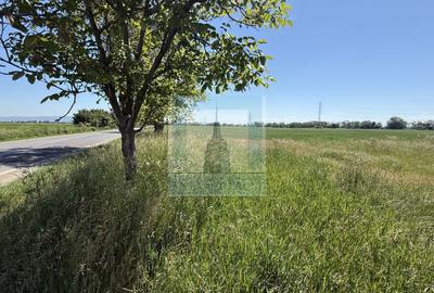 Teren Construcții intravilan de 50000 mp, în Hălchiu - 1