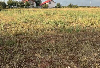 Teren de 10000 mp, în Sârbi - 4