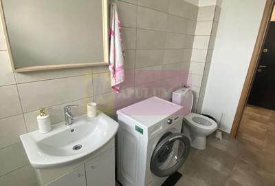 Apartament cu 2 camere decomandat, mobilat în Apărătorii Patriei - 18