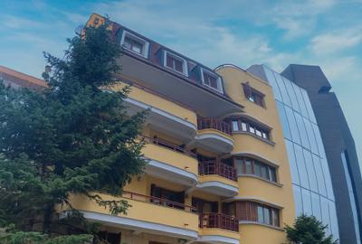 Apartament cu vedere panoramică – Parcul Herăstrău / Piața Charles de Gaulle - 15