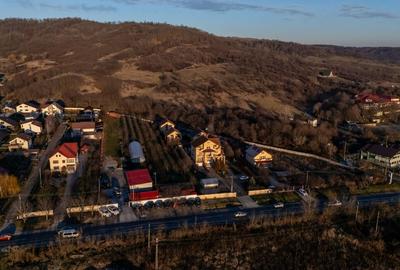 Vila superba | Teren 2300mp | Dealul cu tei | Aninoasa | Doicesti - 9