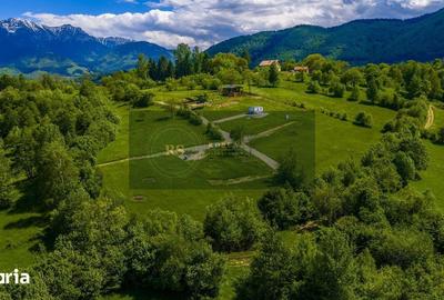 Teren de 500 mp, în Central - 6