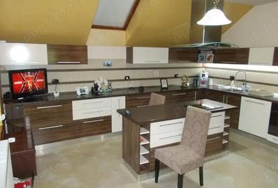 Vila P+M, Sag, 4 camere, 260mp util, 750mp teren, mobilat, utilat Vila P+M, Sag, 4 camere, 260mp util, 750mp teren, mobilat, utilat - 17