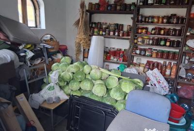 Casă cu 7 camere cu Teren 863 Mp în Brestei - 16