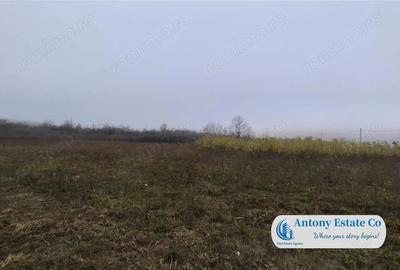 Teren de vanzare- Paleu - 3