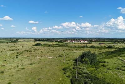 Teren Construcții intravilan de 646 mp, în Moșnița Nouă - 17