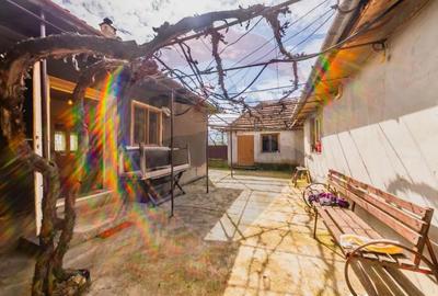 Casă cu 2 camere cu Teren 4500 Mp în Cărand - 15