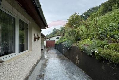 Casa in mijlocul naturii in Sighisoara, 912 mp teren - 10